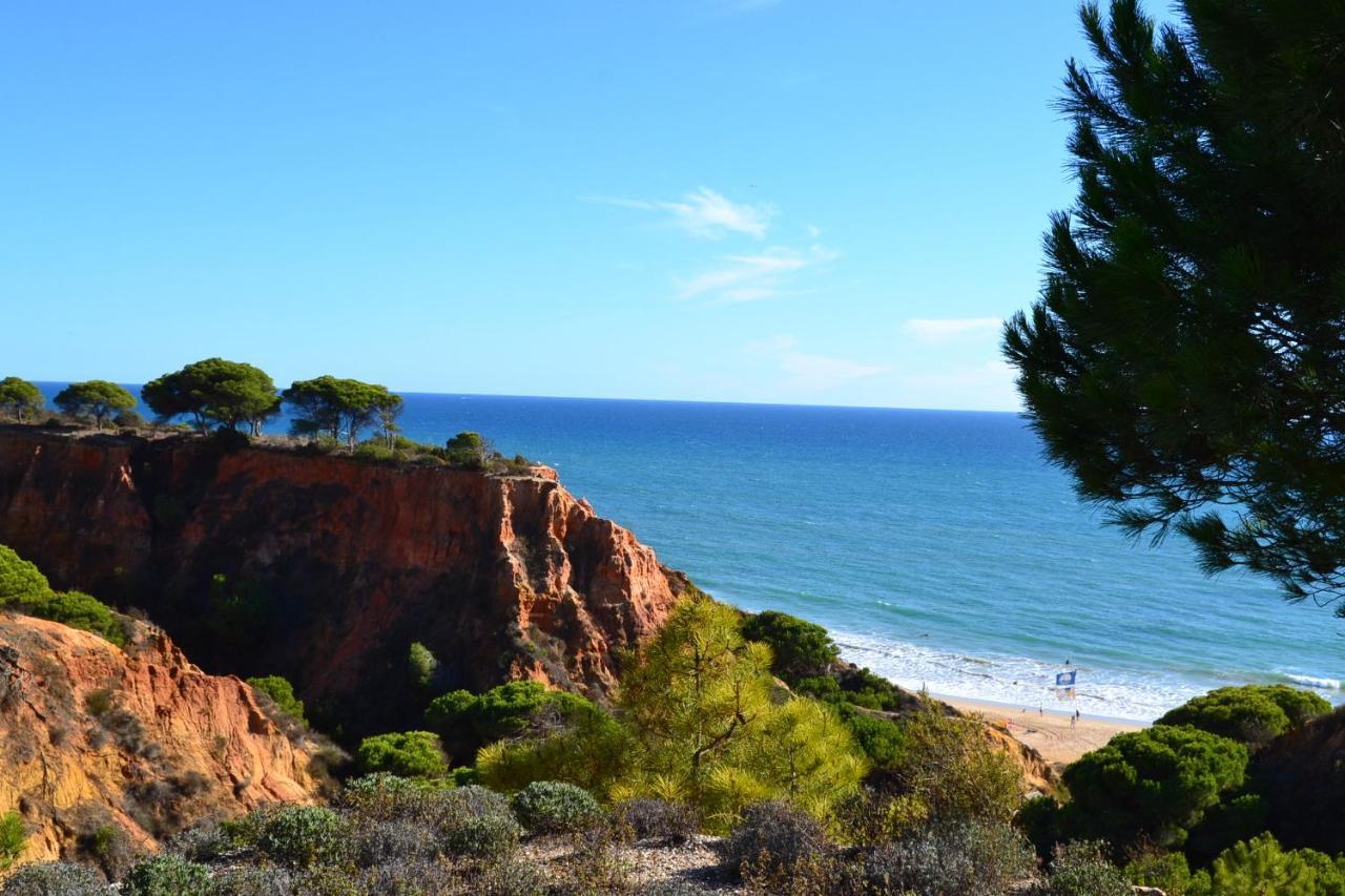 T0 Junto A Praia De Vale Centeanes / Carvoeiro ラゴア エクステリア 写真